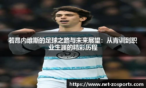 中欧体育官网