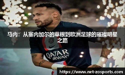 中欧体育