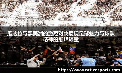 中欧体育