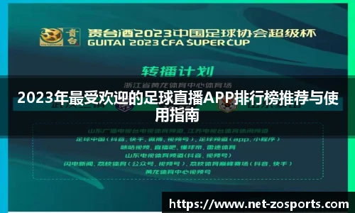 中欧体育