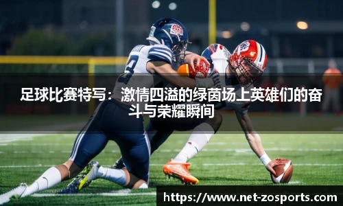 中欧体育官网